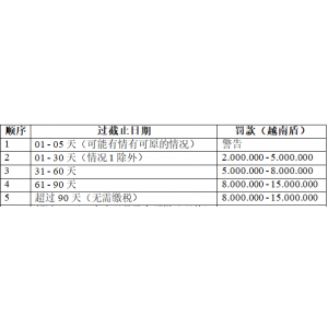 在越南的外国投资者和100%外商投资企业获得投资登记证和商业登记证后需要做什么？