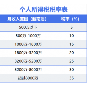 税务合规与优化：越南税收制度对中国企业的影响